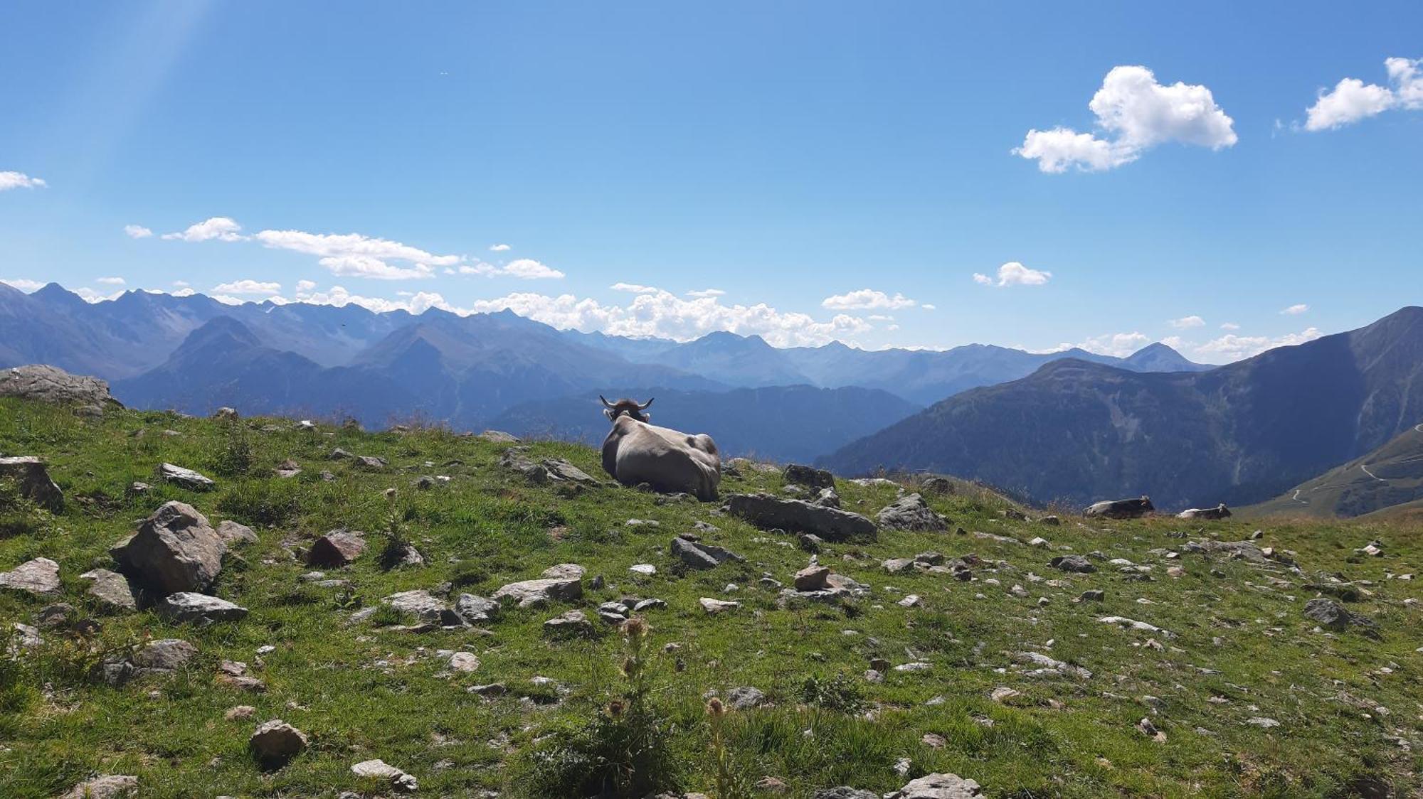 Laerchenhof Serfaus Luaran gambar